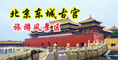 美女小穴被日出白浆的免费黄色视频在线观看中国北京-东城古宫旅游风景区